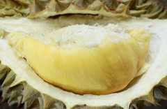 Вино из короля фруктов